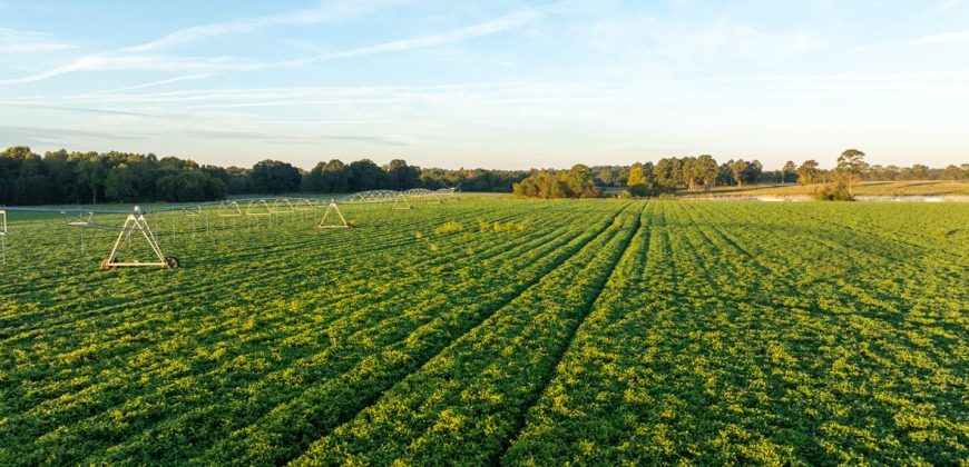 Limestone Creek Farm
