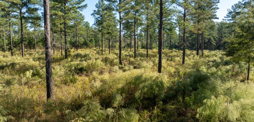 Rut Property