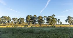 Limestone Creek Farm