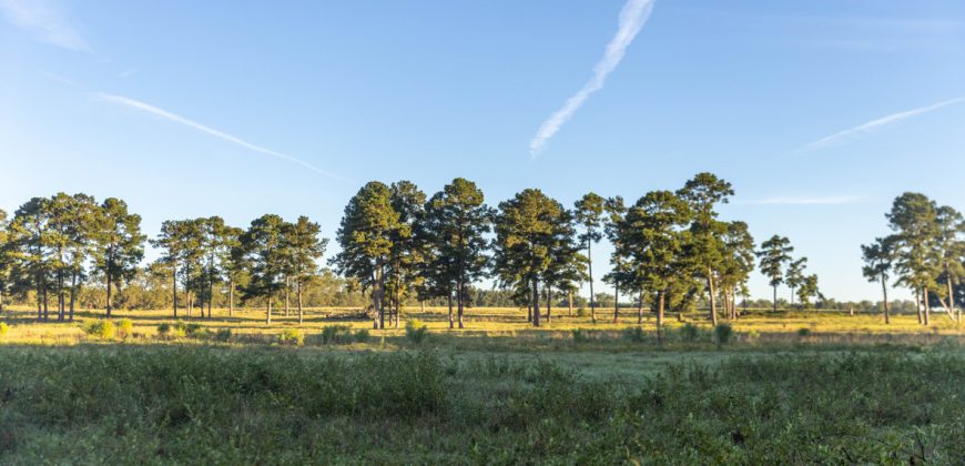 Limestone Creek Farm