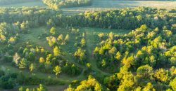 Limestone Creek Farm