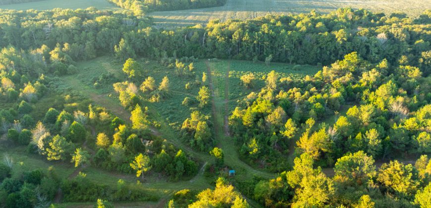 Limestone Creek Farm