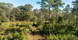 Rut Property