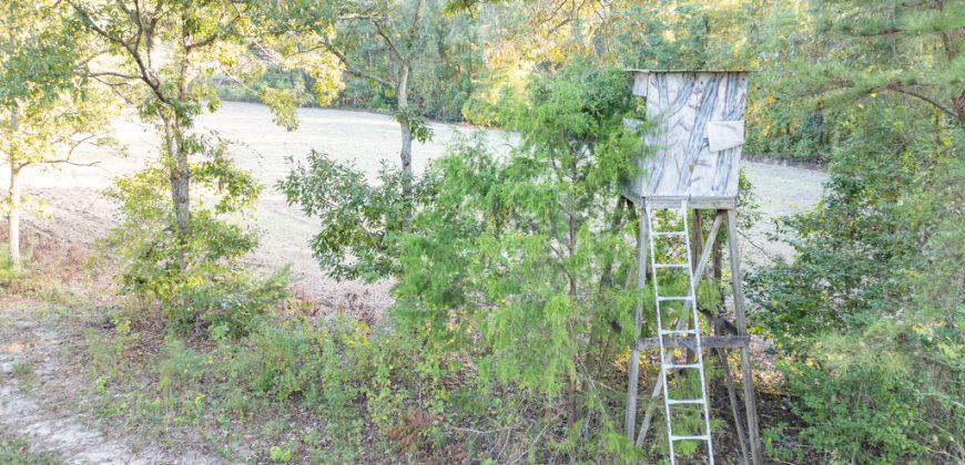 Meadow Creek Plantation