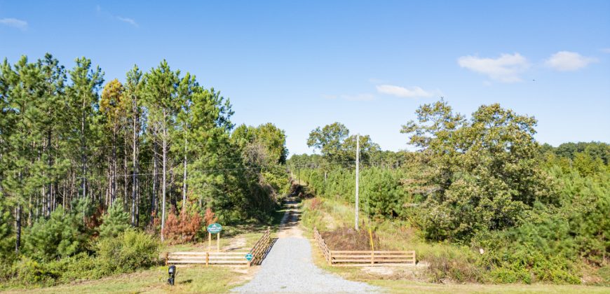 Meadow Creek Plantation