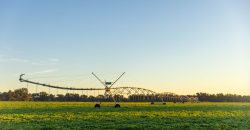 Limestone Creek Farm