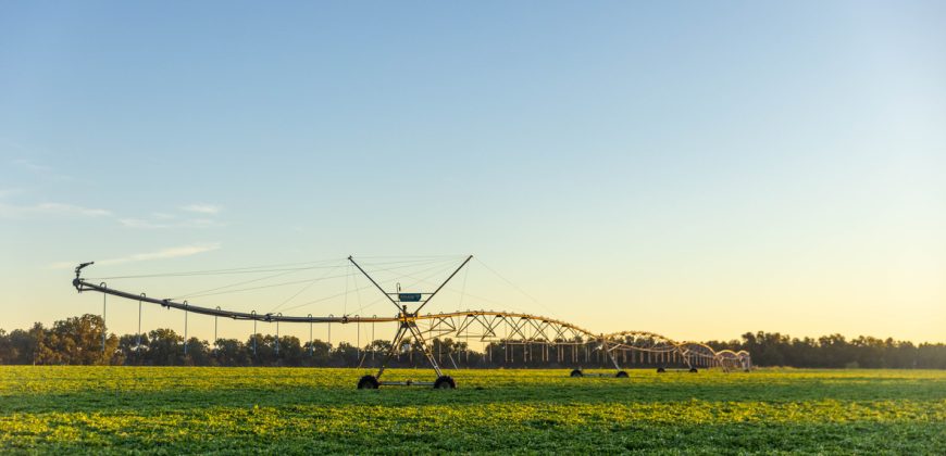 Limestone Creek Farm