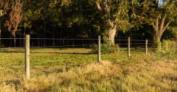 Limestone Creek Farm