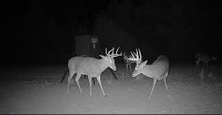 Meadow Creek Plantation