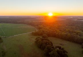 Limestone Creek Farm
