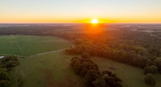 Limestone Creek Farm