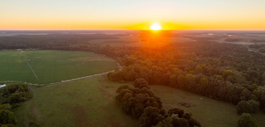 Limestone Creek Farm