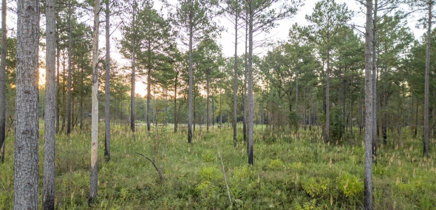 Meadow Creek Plantation