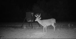 Meadow Creek Plantation
