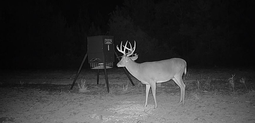 Meadow Creek Plantation