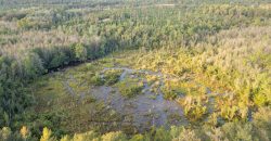 Meadow Creek Plantation
