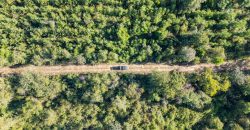 Meadow Creek Plantation