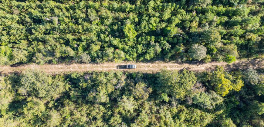 Meadow Creek Plantation