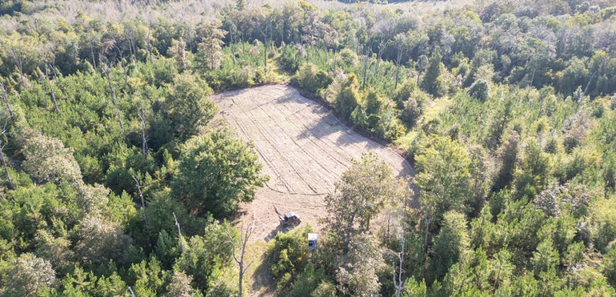 Meadow Creek Plantation