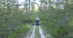 Meadow Creek Plantation