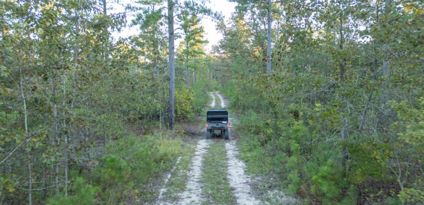 Meadow Creek Plantation