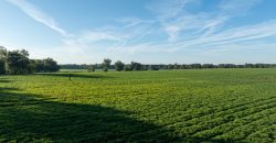 Limestone Creek Farm