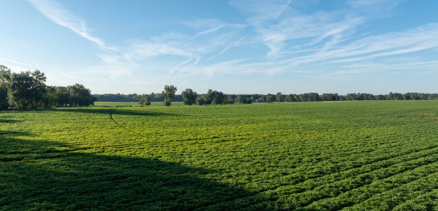 Limestone Creek Farm
