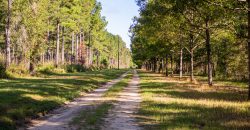 Meadow Creek Plantation