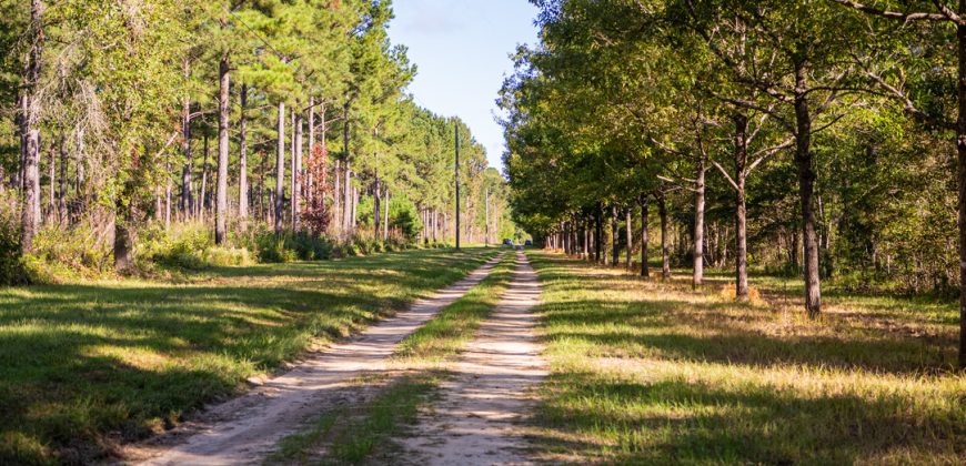 Meadow Creek Plantation