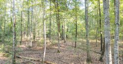 Meadow Creek Plantation