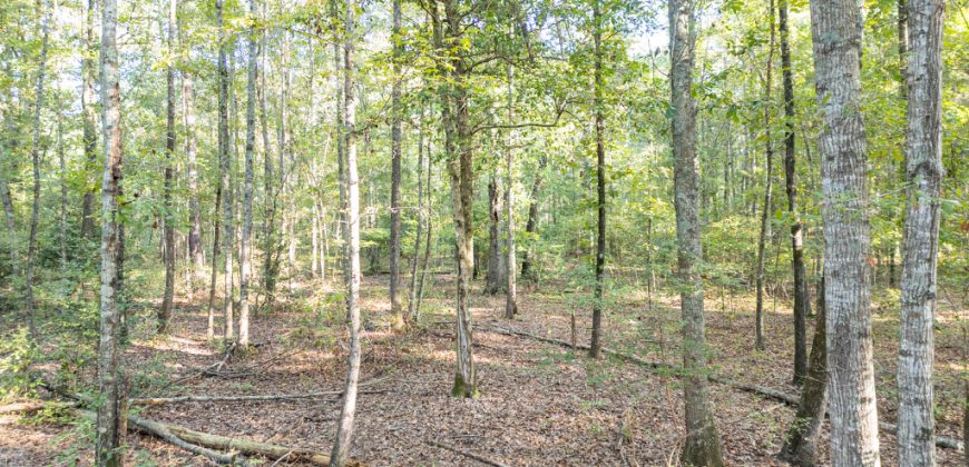 Meadow Creek Plantation