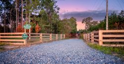 Meadow Creek Plantation