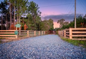 Meadow Creek Plantation