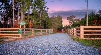 Meadow Creek Plantation