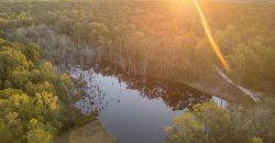 Meadow Creek Plantation