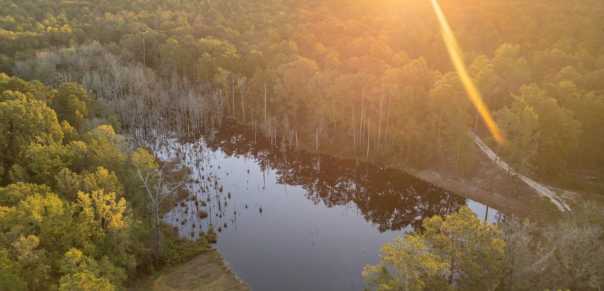 Meadow Creek Plantation
