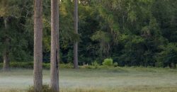 Limestone Creek Farm