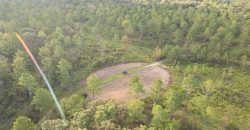 Meadow Creek Plantation