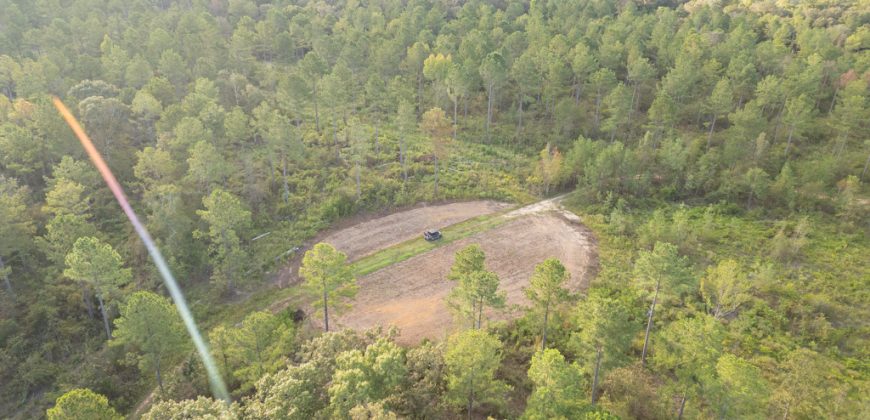 Meadow Creek Plantation