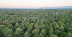 Meadow Creek Plantation