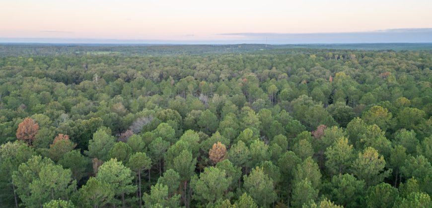 Meadow Creek Plantation