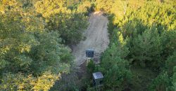 Meadow Creek Plantation