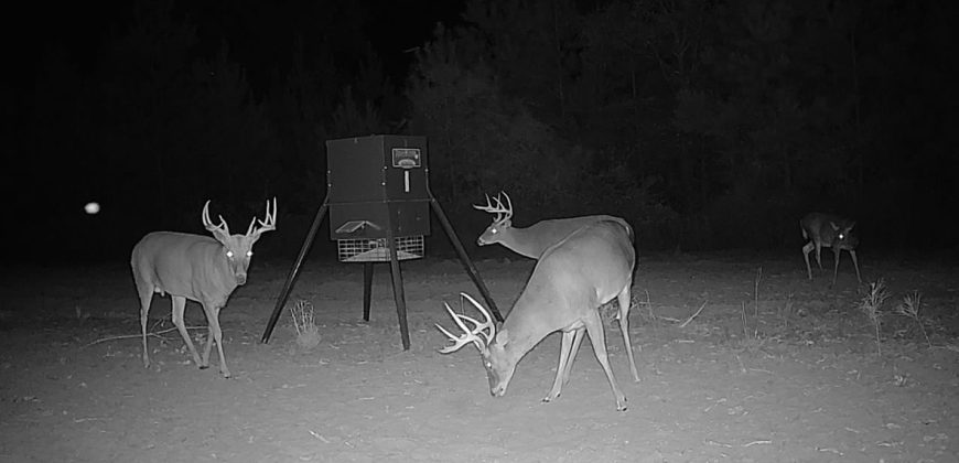 Meadow Creek Plantation