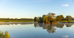Limestone Creek Farm