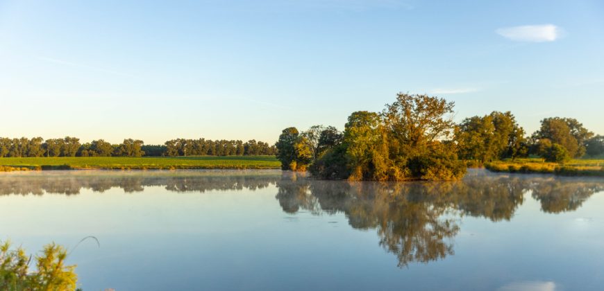 Limestone Creek Farm