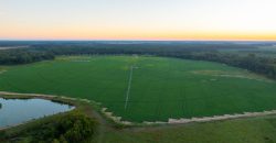 Limestone Creek Farm