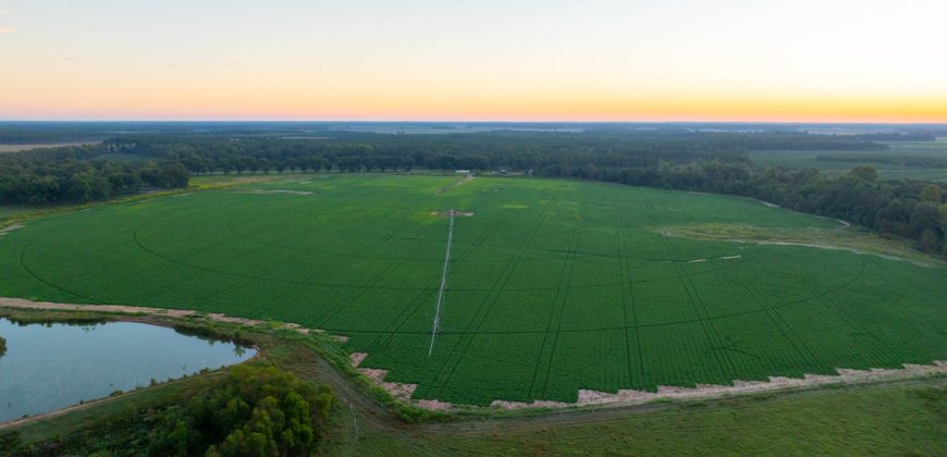 Limestone Creek Farm