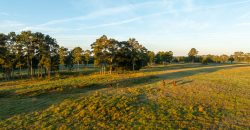 Limestone Creek Farm