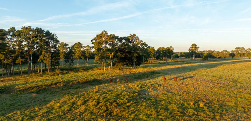 Limestone Creek Farm