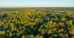 Limestone Creek Farm